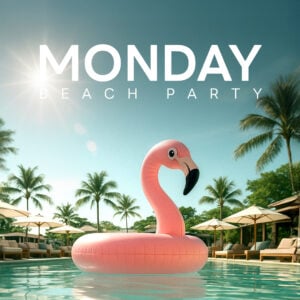 dQqNcri2 MON